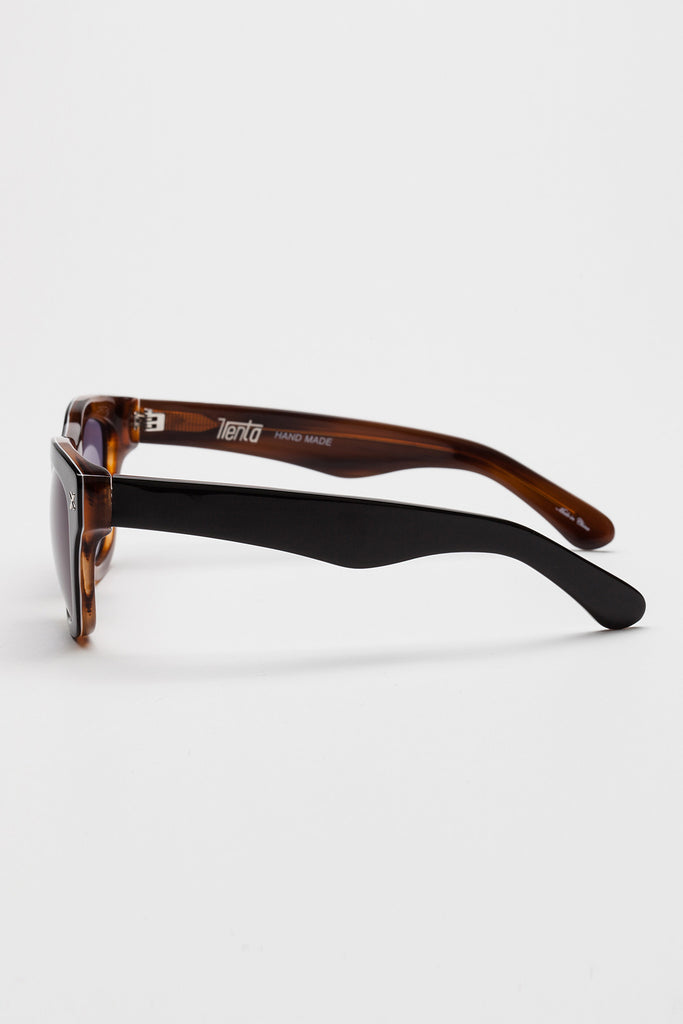 archer sunglasses black/brown by Trenta