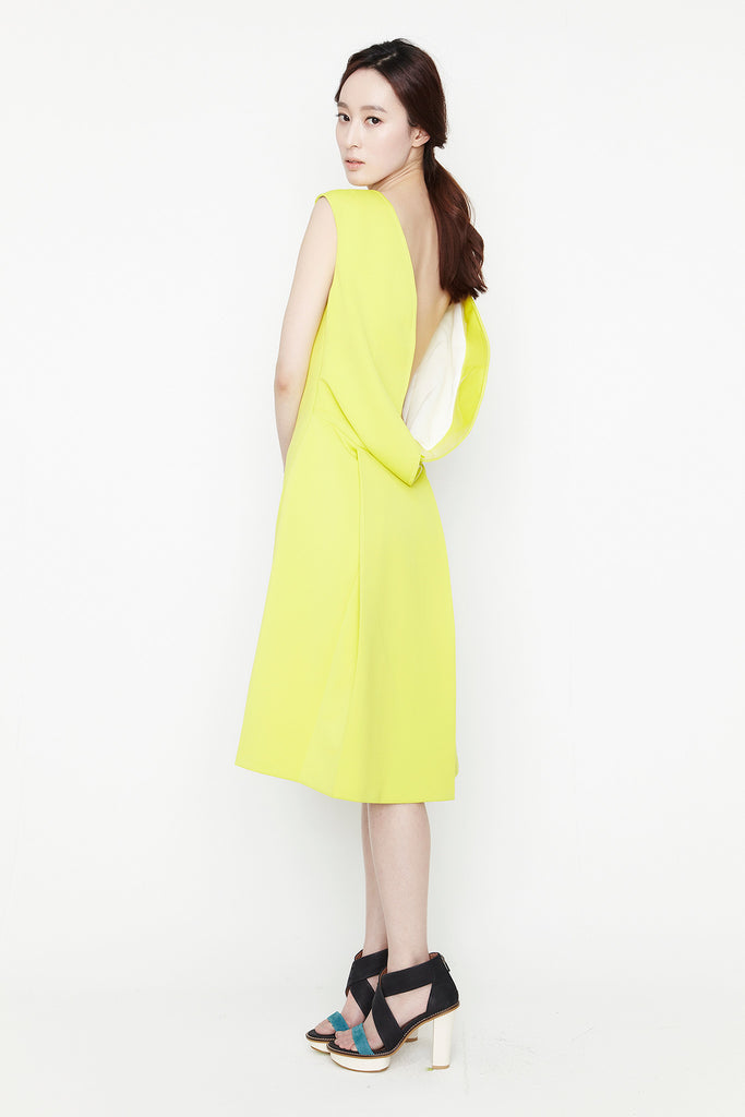 Appealing Dress by Jarret